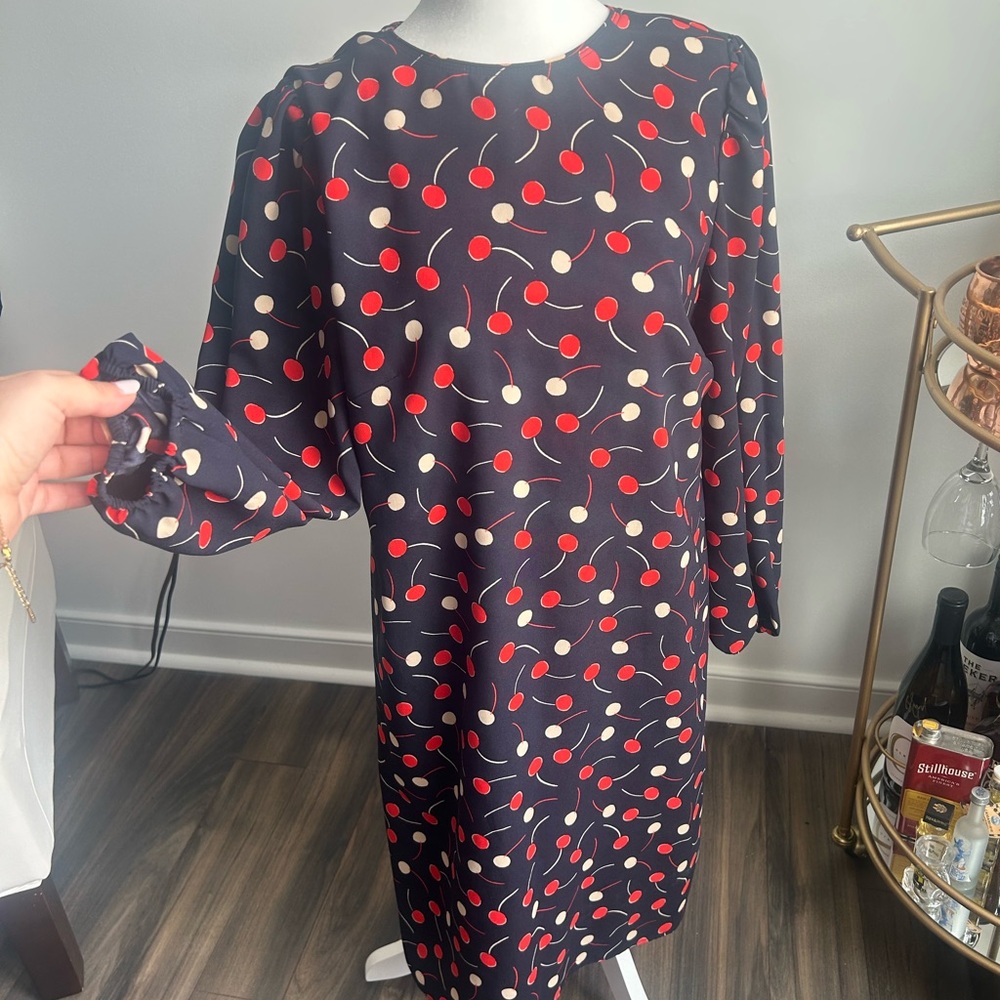 Ann Taylor Cherries Navy Dress long sleeve